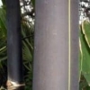 hitam e1608640495603
