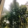 Img20220325152252 Copy