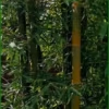 Screenshot 2023 05 07 162846