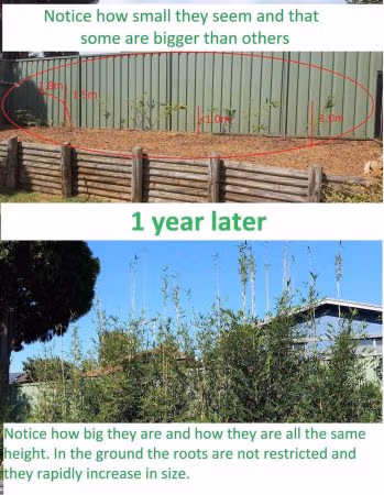 Faq Slender Weavers: Honest Answers Slender Weavers Growth For 1 Year