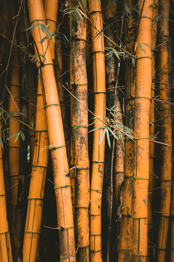 Painted Bamboo 100Mm Pot Painted Bamboo 100Mm Pot - Image 14