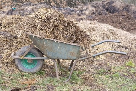manure, wheelbarrow, wheelbarrows-2168726.jpg