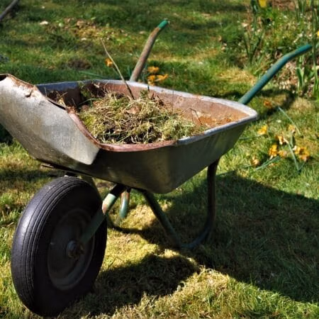 A Bamboo Screen In 9 Easy Steps. Wheelbarrow, Old, Garden-5180048.Jpg